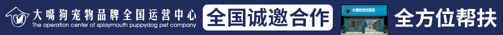 大嘴狗宠物医院加盟