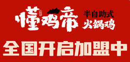 懂雞帝加盟