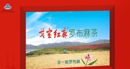 加盟戈壁珍宝养生品轻松创富不困难